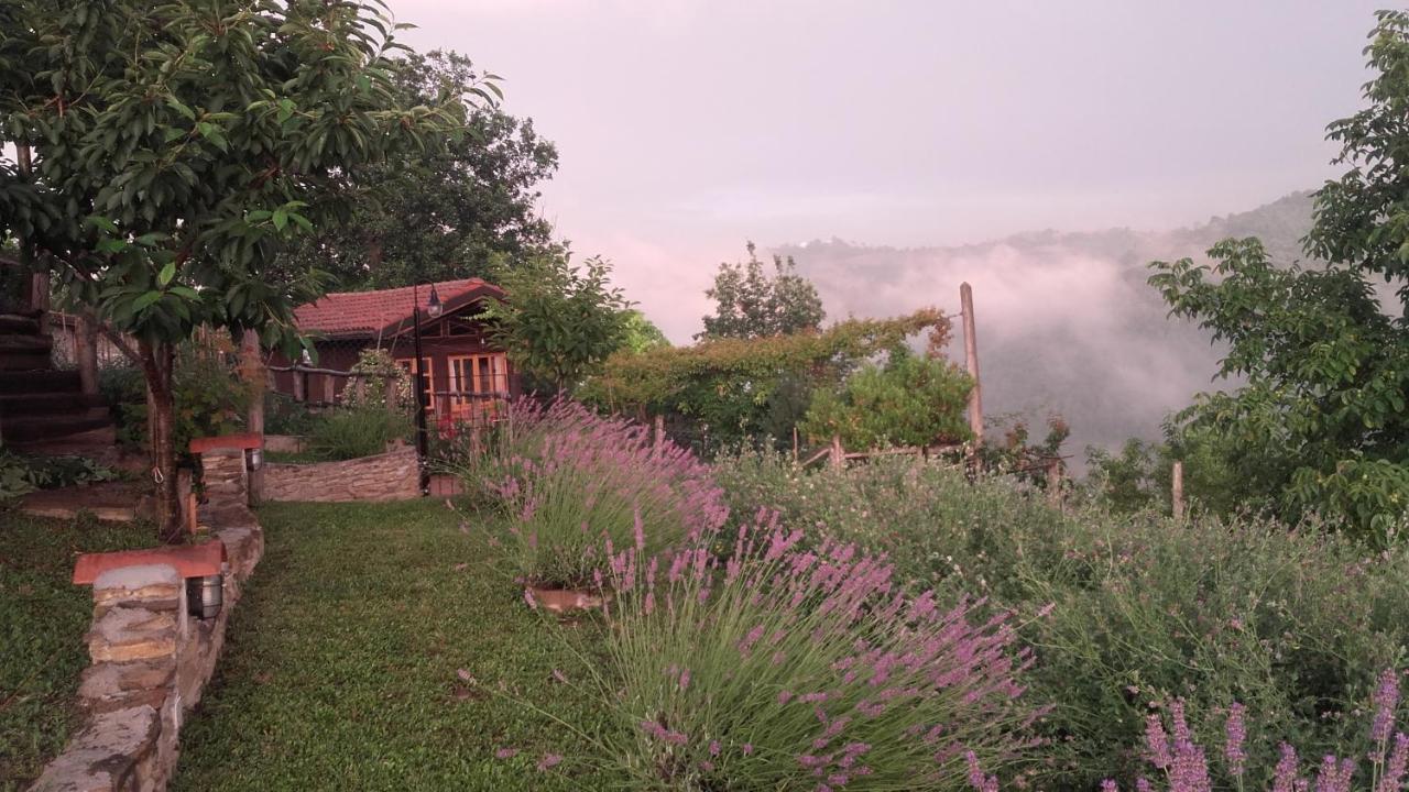 Magiche Langhe Bed & Breakfast Paroldo Exterior photo