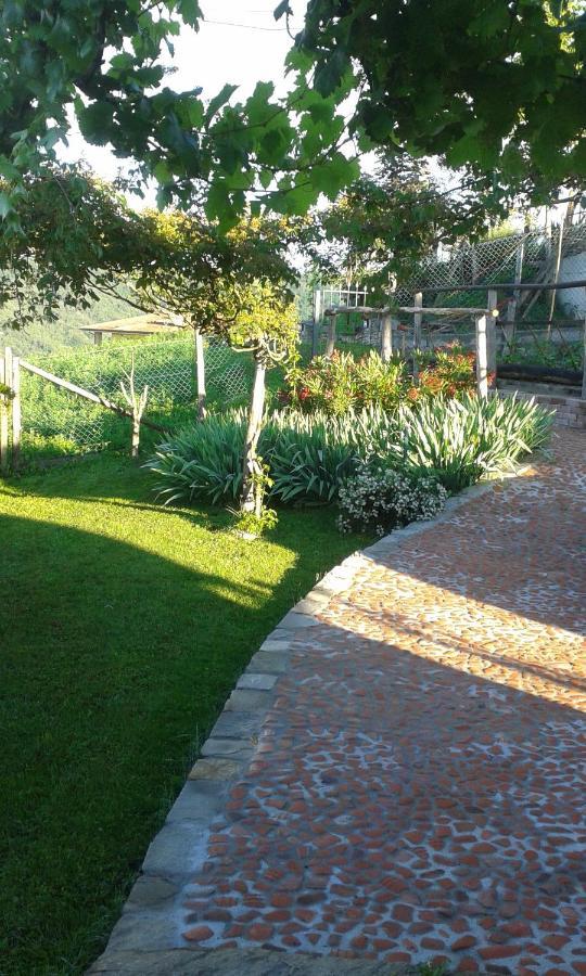 Magiche Langhe Bed & Breakfast Paroldo Exterior photo